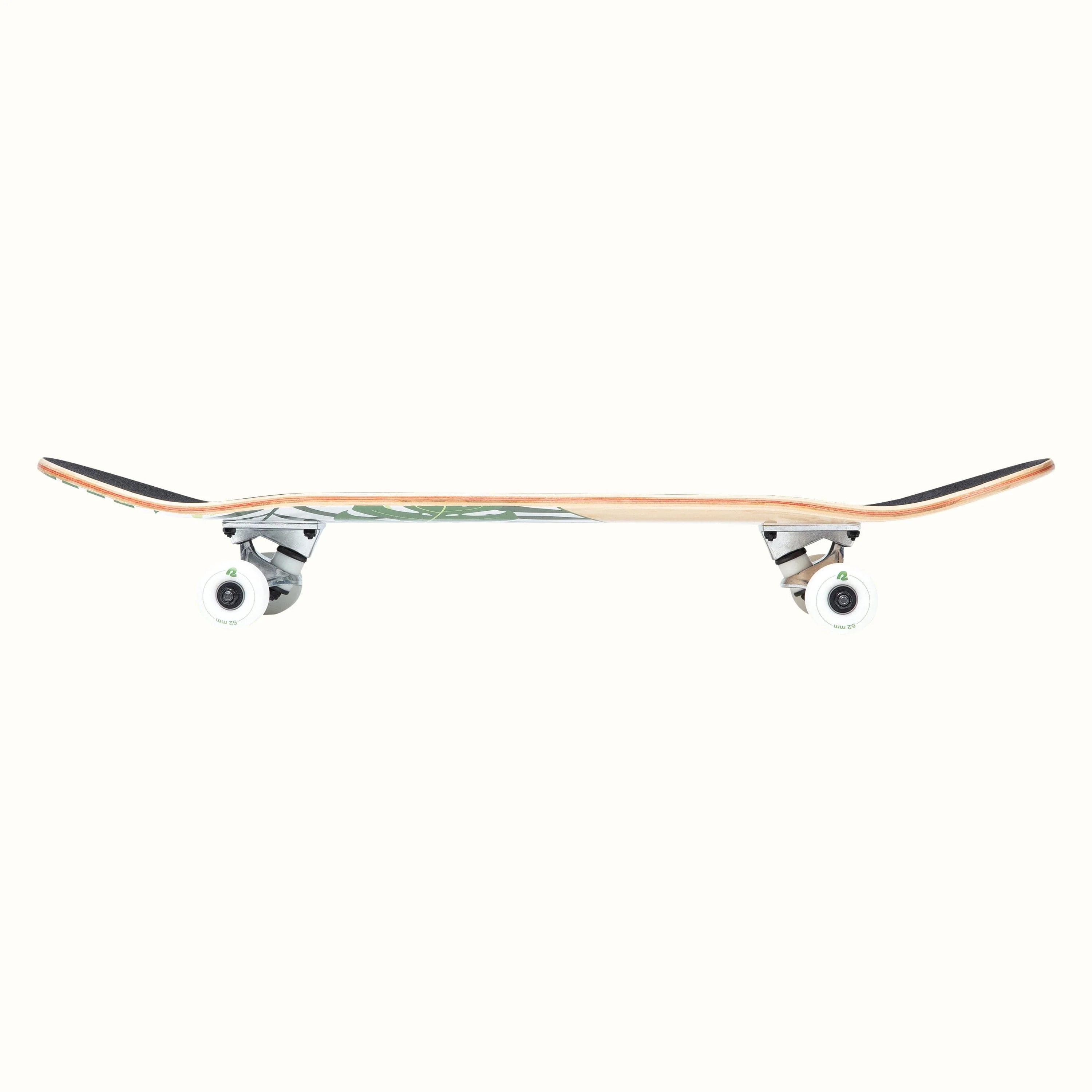 Alameda 7.5"/8" Complete Skateboard - Image 4
