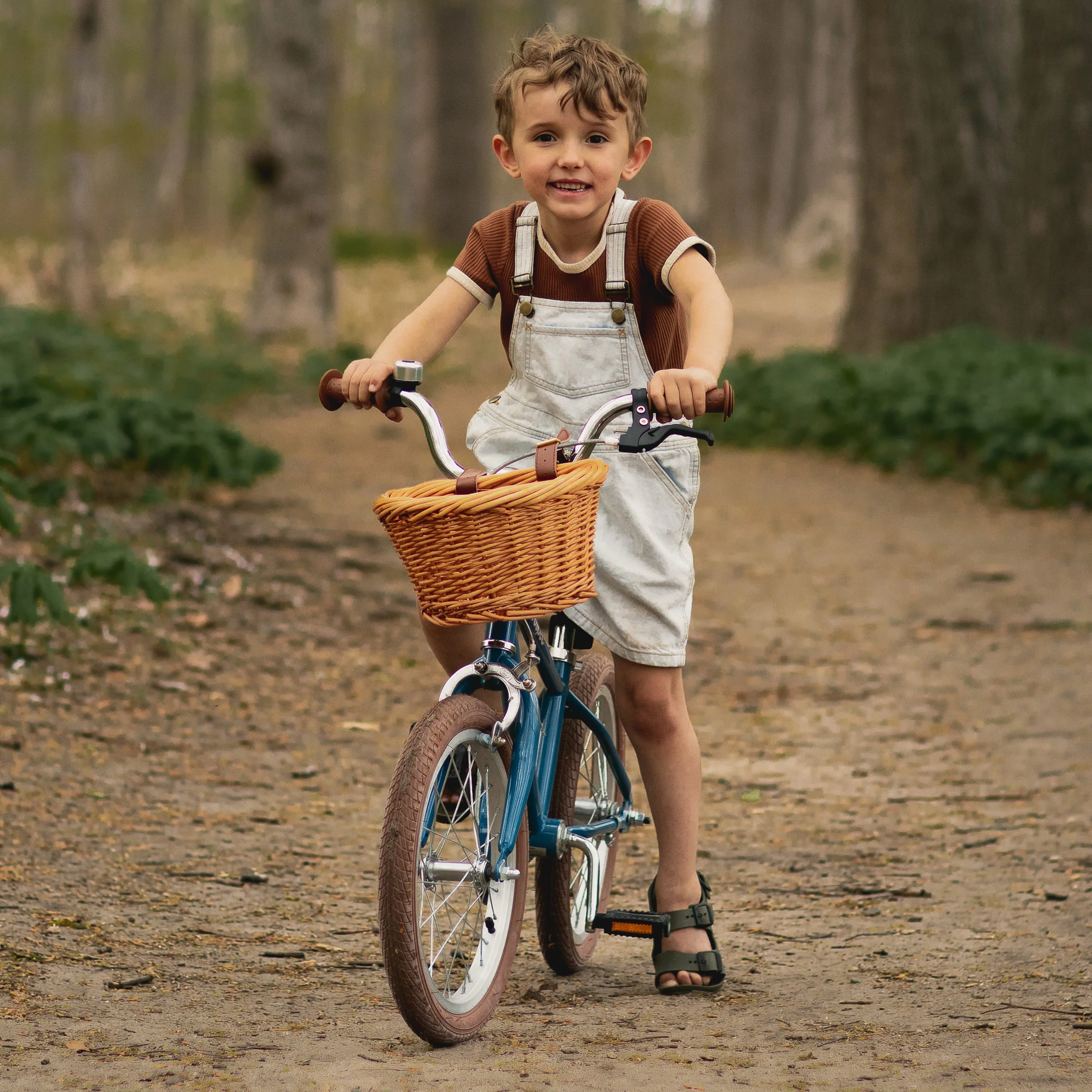 Beaumont Mini 16" Kids Bike (4-6 yrs) - Image 15