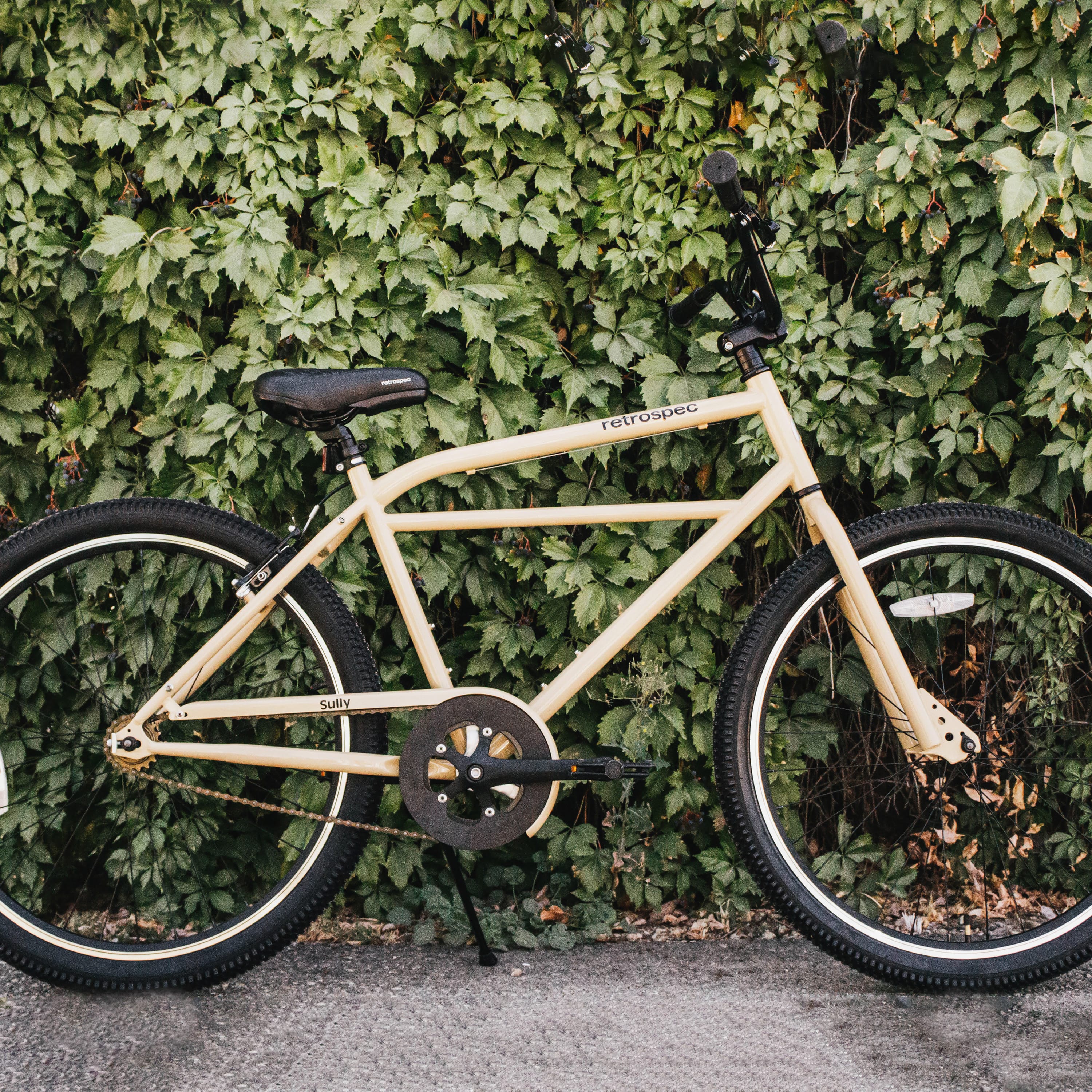 Sully Klunker Bike - Single Speed - Image 4