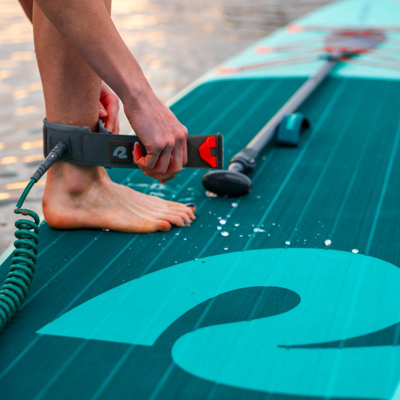 Weekender 10' Paddle Board Safety Leash - Image 32